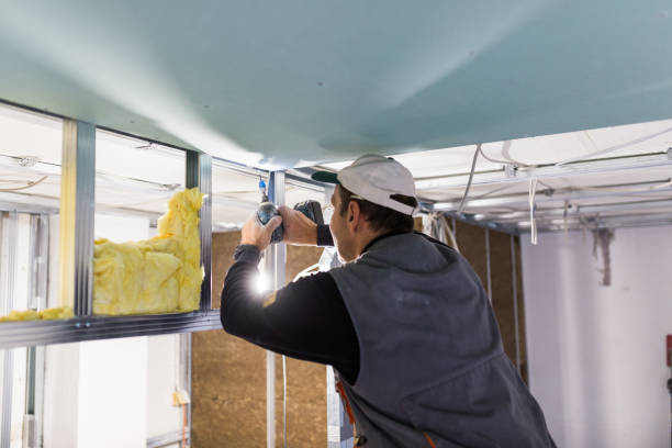 Best Insulation Maintenance and Repair in Morrison, IL